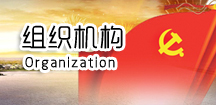 组织机构